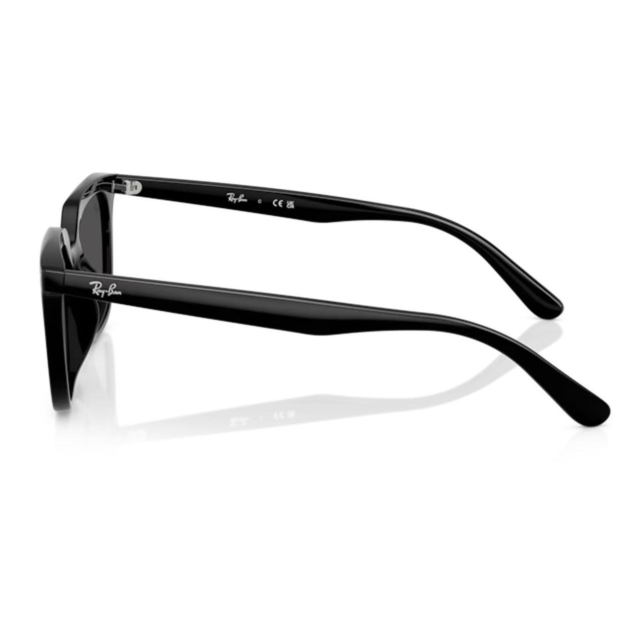 Ray-Ban RB4439D Sunglasses