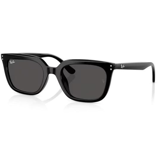 Ray-Ban RB4439D Sunglasses